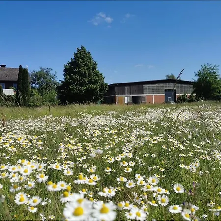 Pension Reiterhof Hunsche *